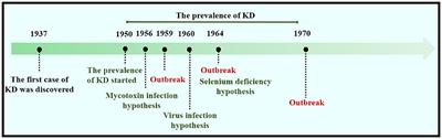 Keshan Disease: A Potentially Fatal Endemic Cardiomyopathy in Remote Mountains of China